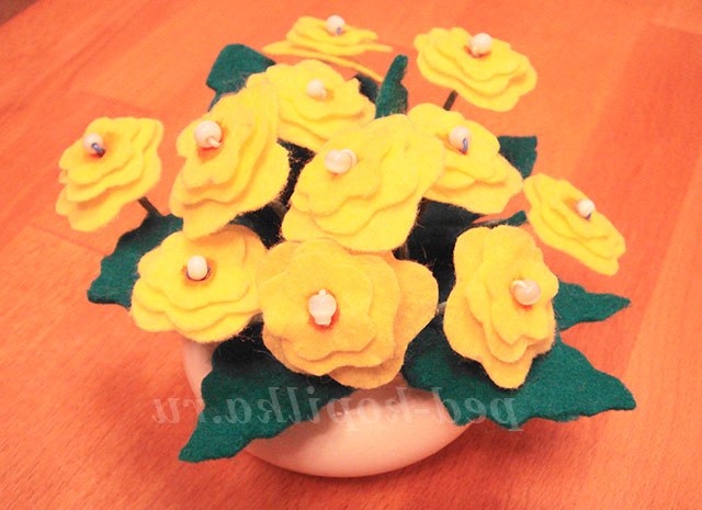 Фіалки своїми руками. Майстер-клас