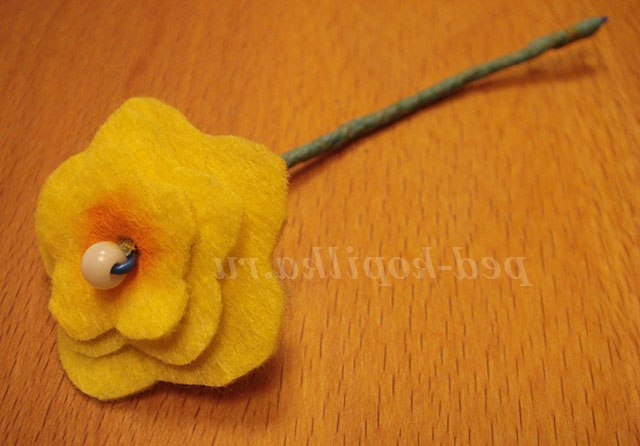 Фіалки своїми руками. Майстер-клас