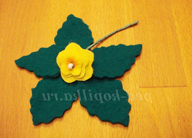 Фіалки своїми руками. Майстер-клас