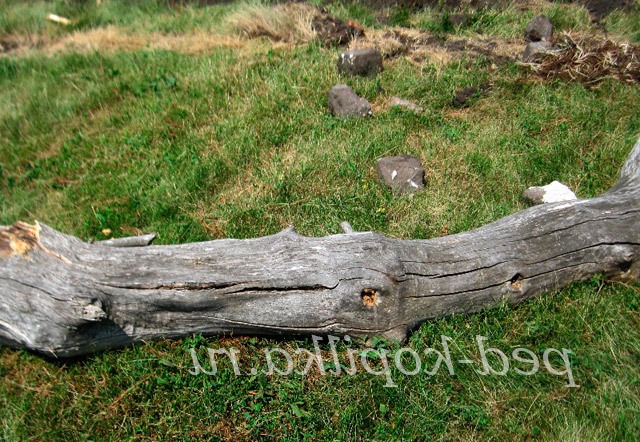 Крокодил з колоди своїми руками