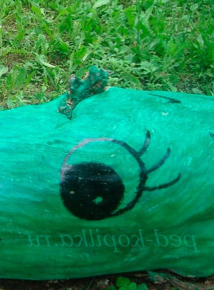 Крокодил з колоди своїми руками