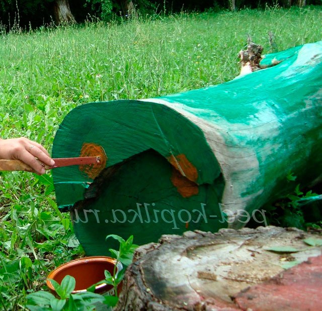 Крокодил з колоди своїми руками