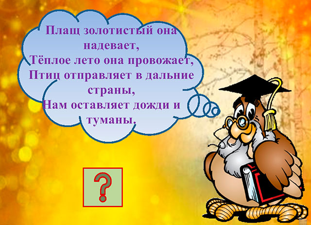 загадка сови