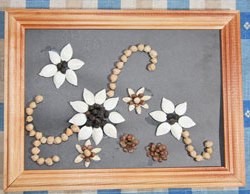 Квіти з насіння своїми руками