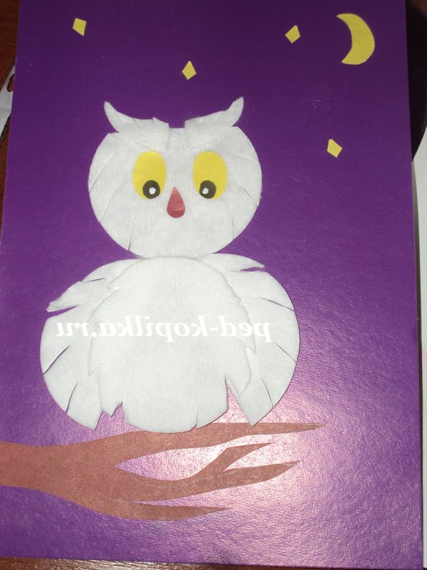 Аплікація Сова з ватяних дисків Аплікація Сова з ватяних дисків
