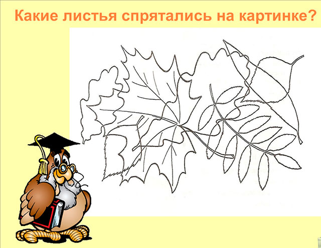 Завдання від Сови