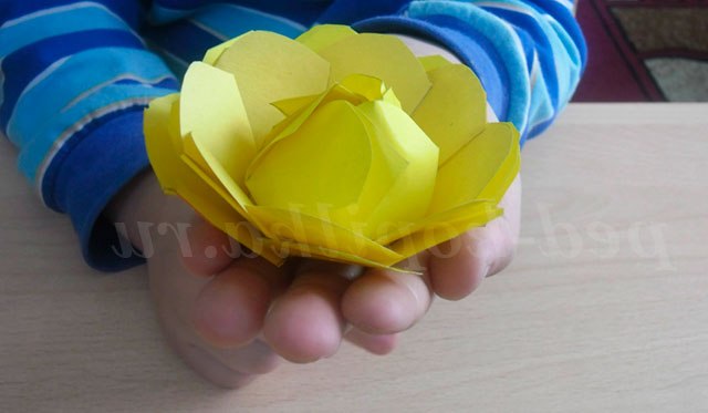 Троянди своїми руками