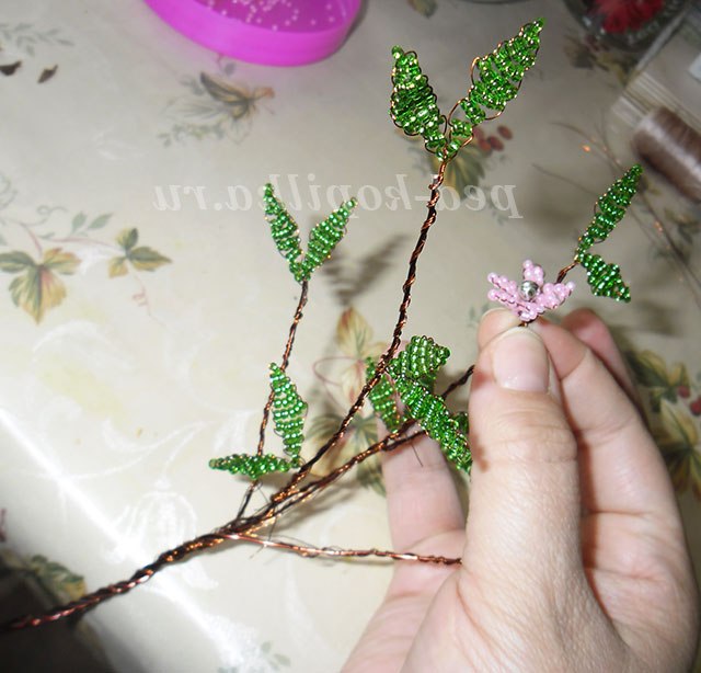 Райський куточок. Майстер-клас