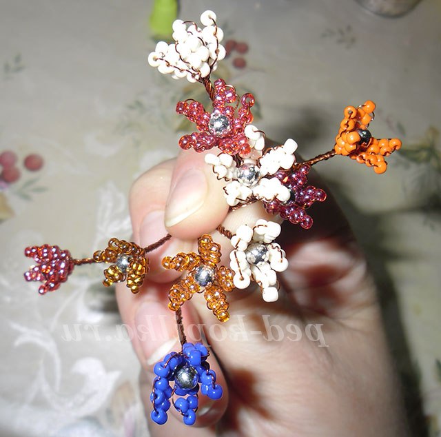 Райський куточок. Майстер-клас