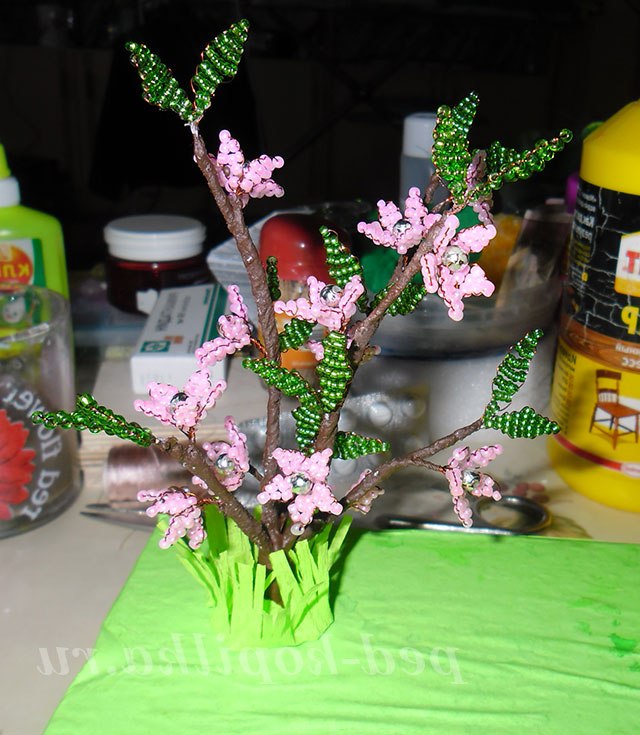 Райський куточок. Майстер-клас