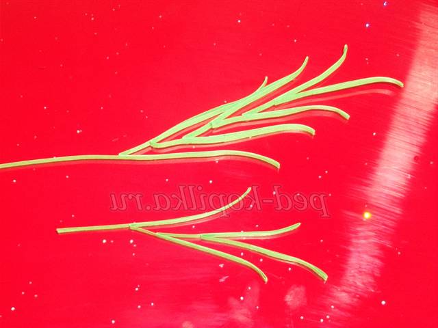 Картина з квітами. Квіллінг майстер клас Картина з квітами. Квіллінг майстер клас