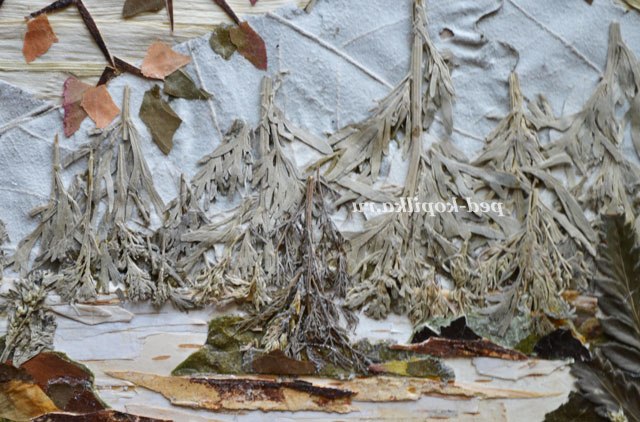 Ошибана. Майстер-клас