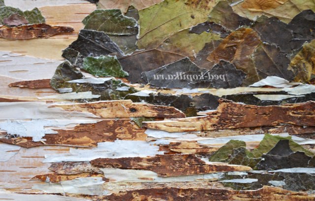 Ошибана. Майстер-клас