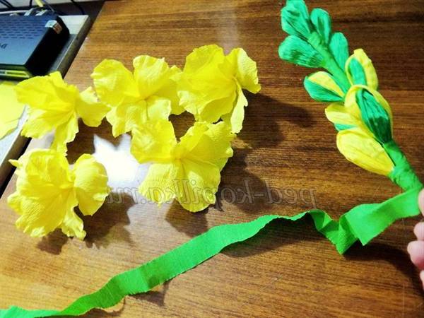 Гладіолуси з гофрованого паперу. Майстер-клас Гладіолуси з гофрованого паперу. Майстер-клас