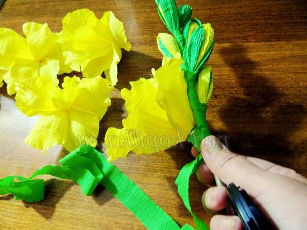 Гладіолуси з гофрованого паперу. Майстер-клас Гладіолуси з гофрованого паперу. Майстер-клас