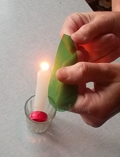 Клівія з пластикових пляшок. Майстер-клас