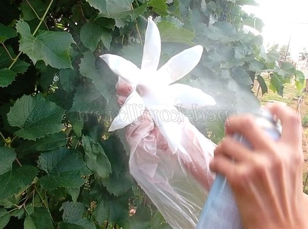 Лілії з пластикових пляшок. Майстер-клас