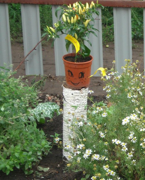 Екологічне виховання дошкільників