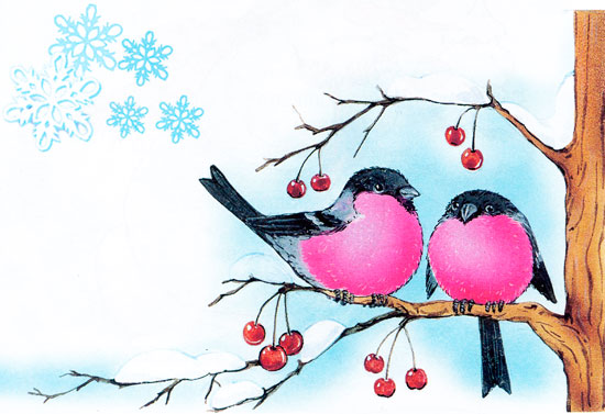 Яблука в січні