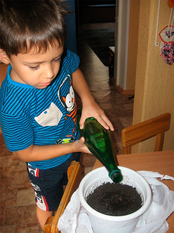 Дослідницький проект Природа рідного краю