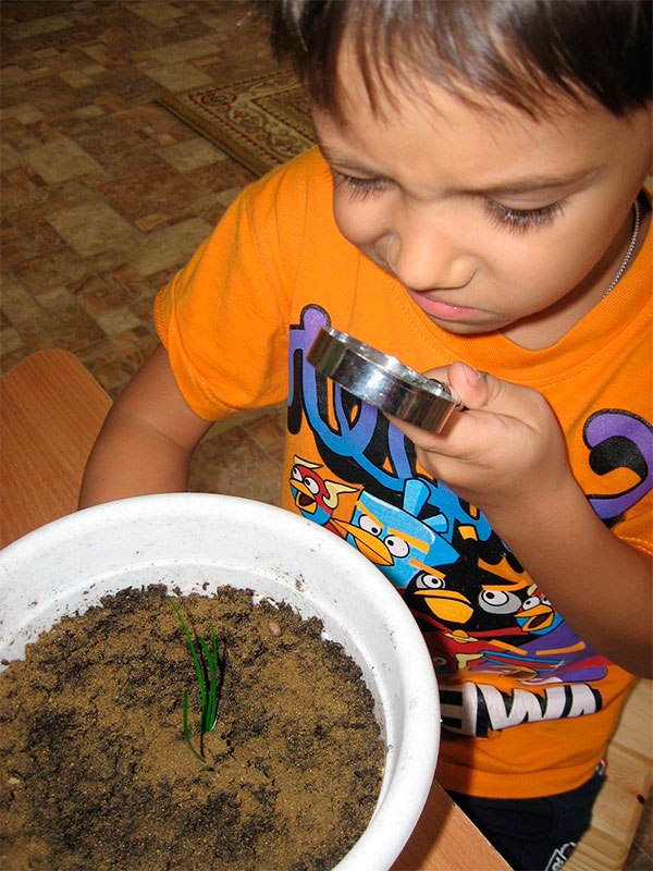 Дослідницький проект Природа рідного краю