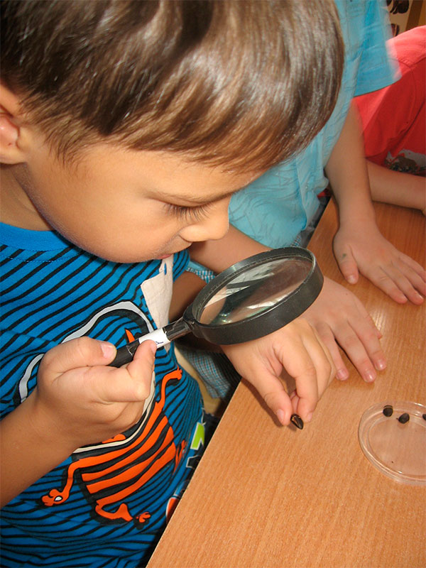 Дослідницький проект Природа рідного краю