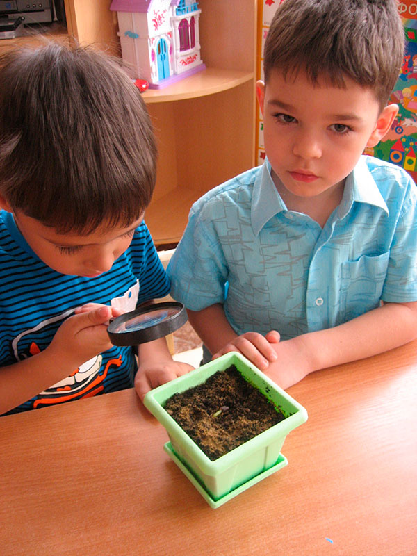 Дослідницький проект Природа рідного краю