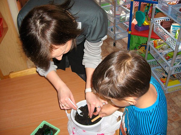 Дослідницький проект Природа рідного краю