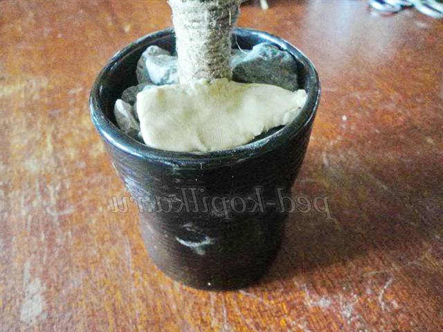 Кавовий топіарі. Майстер-клас Кавовий топіарі. Майстер-клас