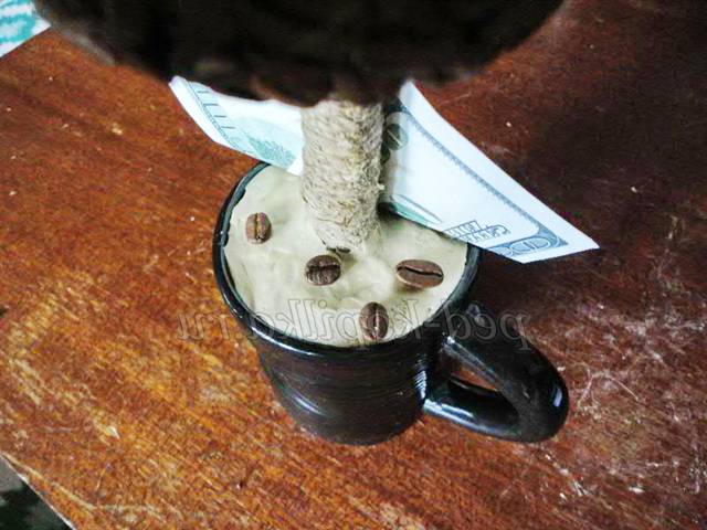 Кавовий топіарі. Майстер-клас Кавовий топіарі. Майстер-клас