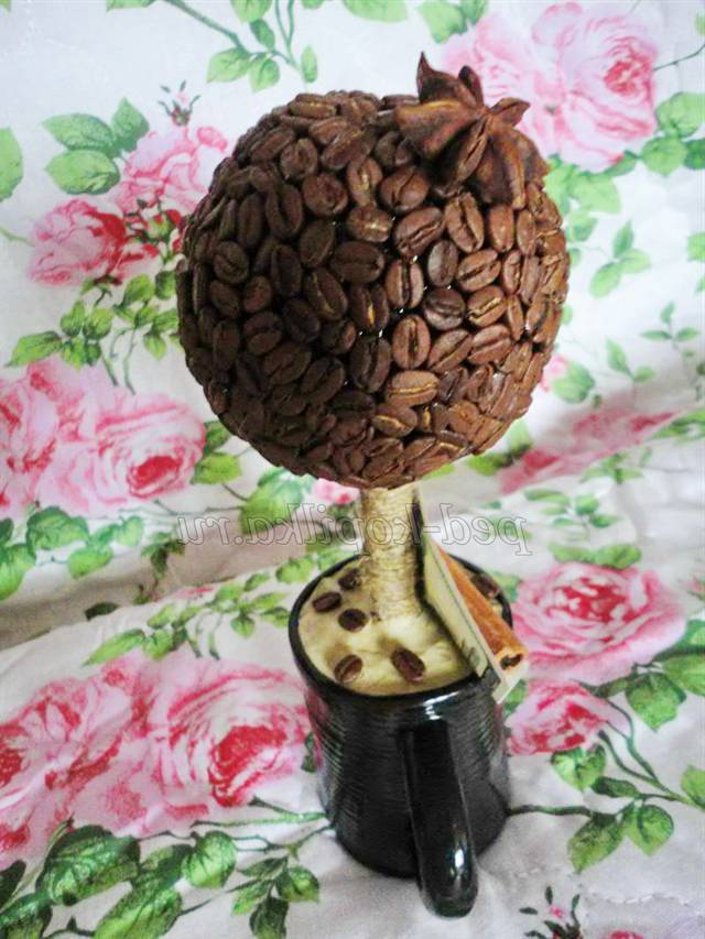 Кавовий топіарі. Майстер-клас Кавовий топіарі. Майстер-клас