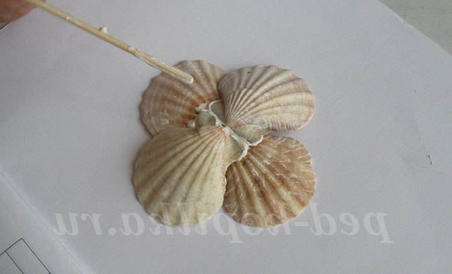 Вітрильник з черепашок. Майстер-клас