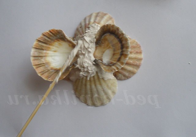 Вітрильник з черепашок. Майстер-клас