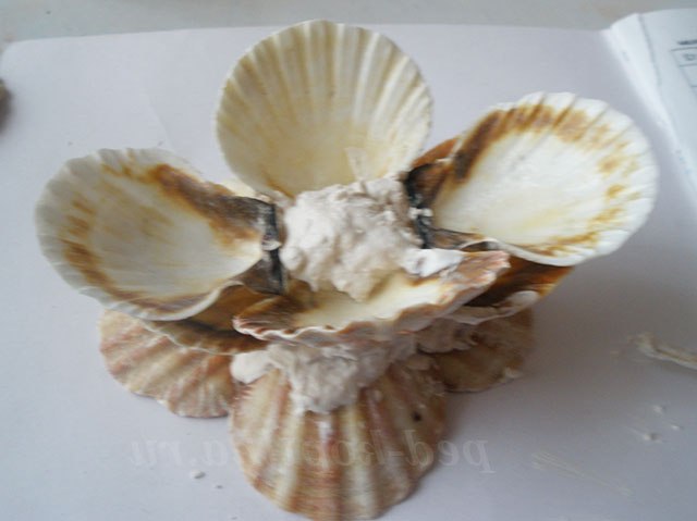 Вітрильник з черепашок. Майстер-клас