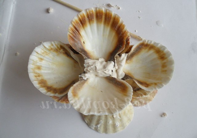 Вітрильник з черепашок. Майстер-клас