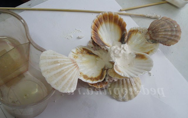 Вітрильник з черепашок. Майстер-клас