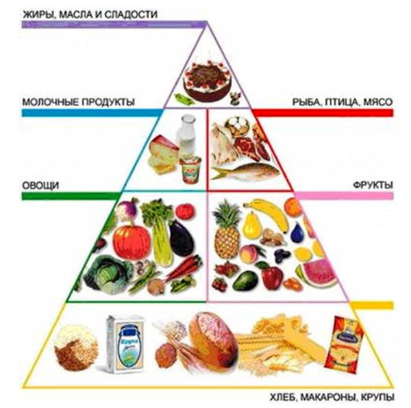 Піраміда харчування
