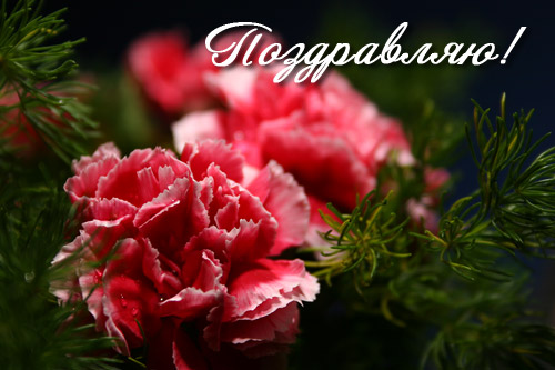 Листівка у Тетянин день