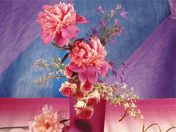 листівка з Днем народження