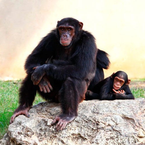 матеріали до уроку матеріали до уроку