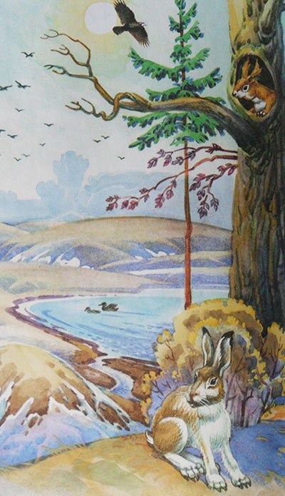 рис.2 - Весна