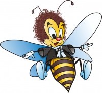 Бджілка красива