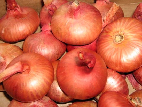 лук