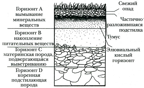 схема ґрунтового покриву