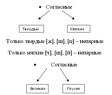 Класифікація приголосних