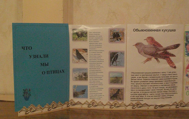 Виставка-розкладачка