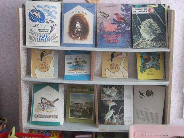 Дитяча література про птахів