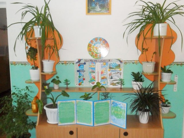 Куточок природи