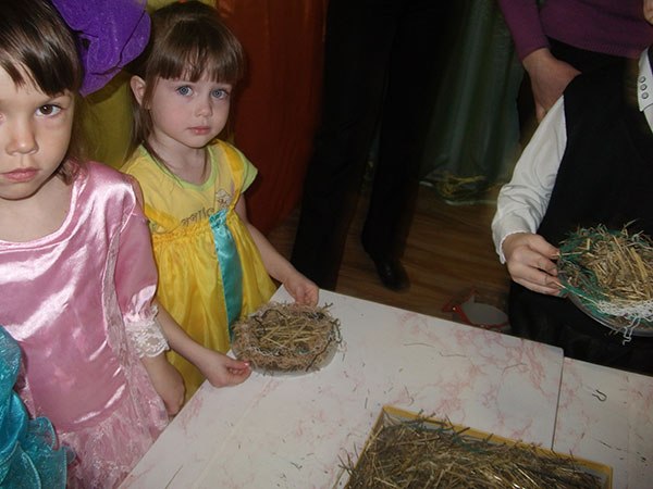 конструювання птахів