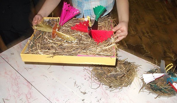 конструювання птахів